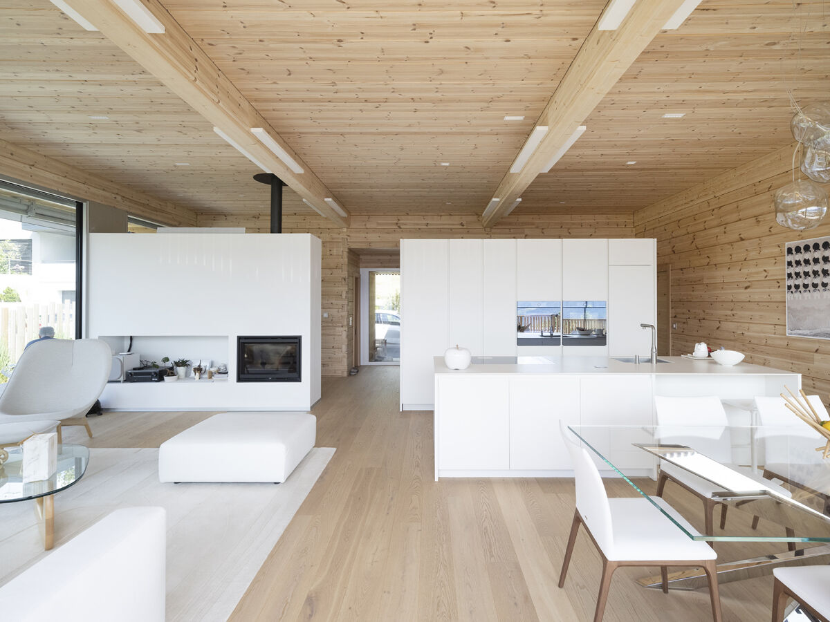Modern log home in the Swiss alps living room