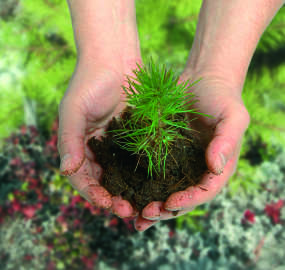 Sustainability